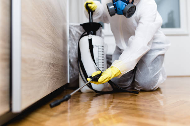 Wildlife Control Services in Coarsegold, CA