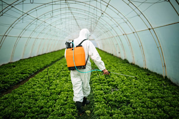 Best Insect Control  in Coarsegold, CA