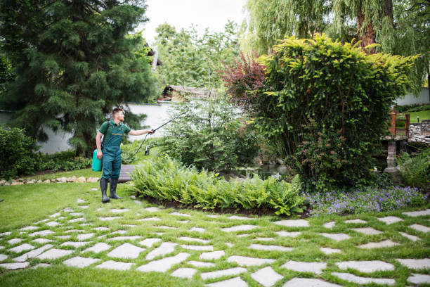Best Ant Control Services  in Coarsegold, CA