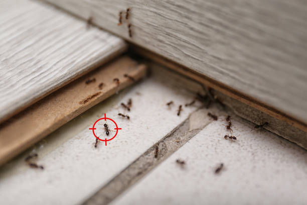 Best Wildlife Control Services  in Coarsegold, CA