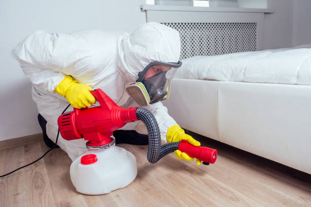 Best Cockroach Control Services  in Coarsegold, CA