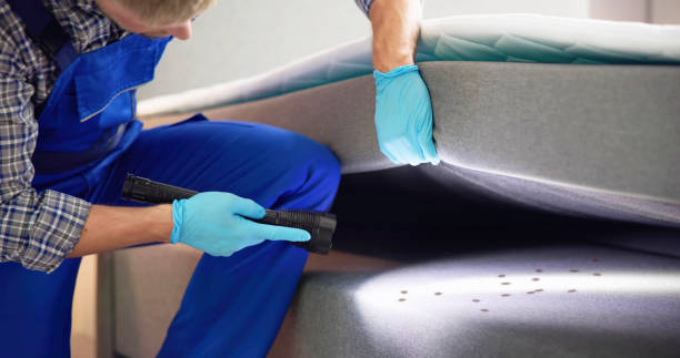 Best Residential Pest Control  in Coarsegold, CA