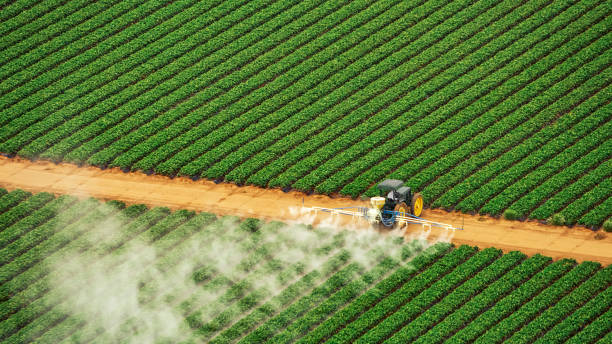 Best Pest Control Near Me in Coarsegold, CA