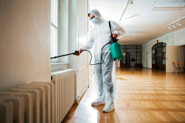Best Rat Extermination Near Me  in Coarsegold, CA