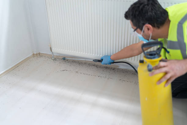 Best Mosquito Control Services  in Coarsegold, CA