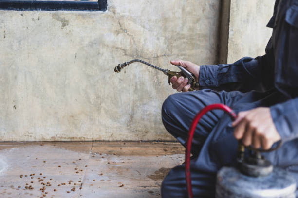 Best Exterminator Services  in Coarsegold, CA